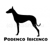 s0008_-_podenco_ibicenco